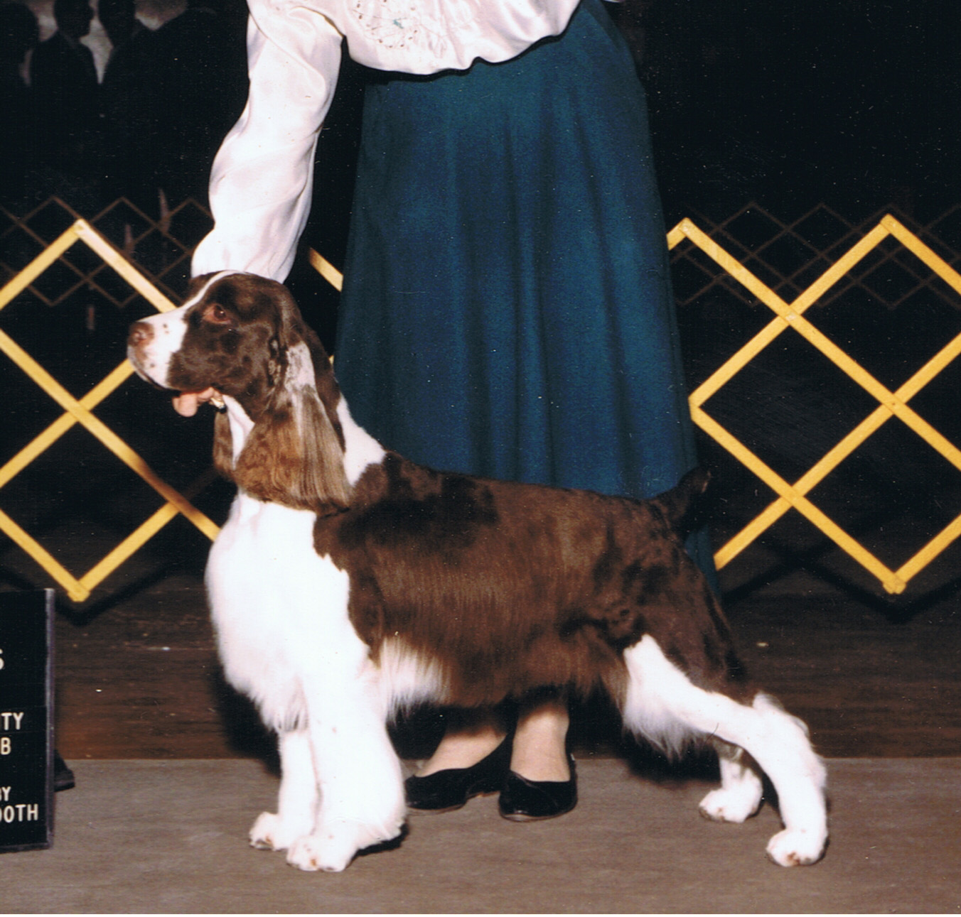 Dixie