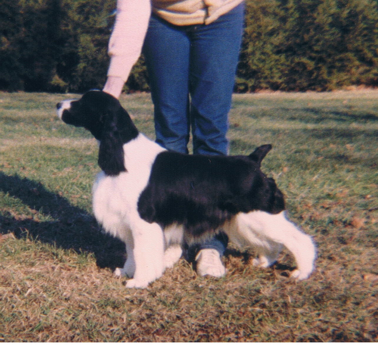 Maggie