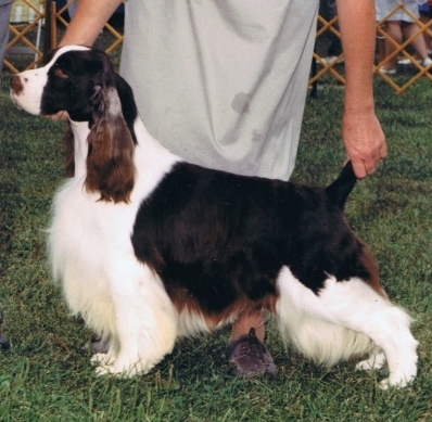 JJ
